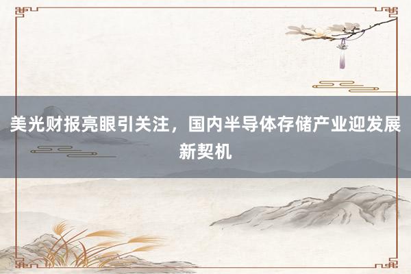 美光财报亮眼引关注，国内半导体存储产业迎发展新契机