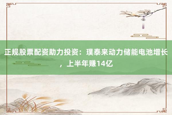 正规股票配资助力投资：璞泰来动力储能电池增长，上半年赚14亿